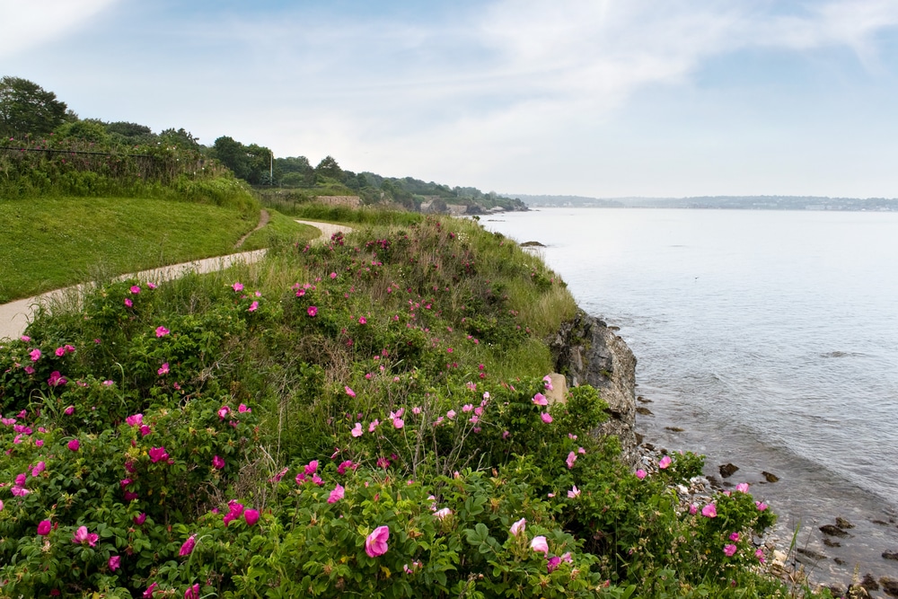 Gorgeous coastal views while also seeing the Newport Mansions in Rhode Island along the Newport cliff Walk